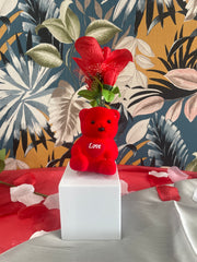 Teddy Flower Box