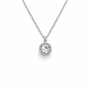 Silver Diamond enclosed Necklace