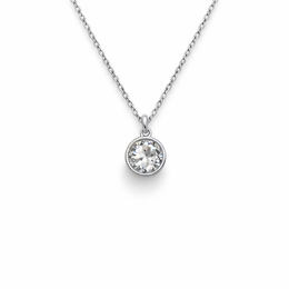 Silver Diamond enclosed Necklace